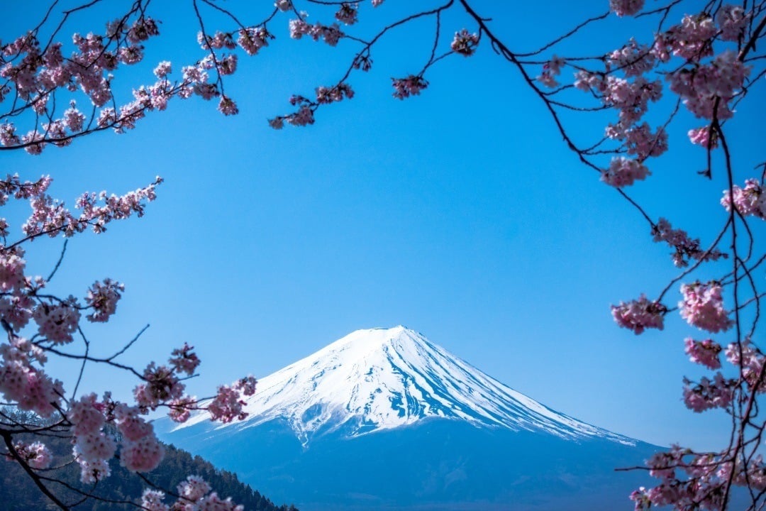 Mount Fuji Japan Japow