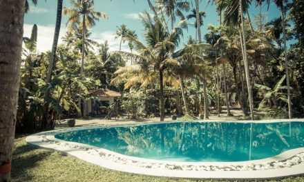 drivethru Surfcamps – Madiha – Sri Lanka