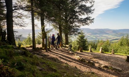 Mountainbiken in Schottland – 7 Stanes