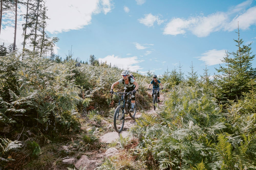 Baiersbronn: Zwei Mountainbikerinnen auf Trailabfahrt