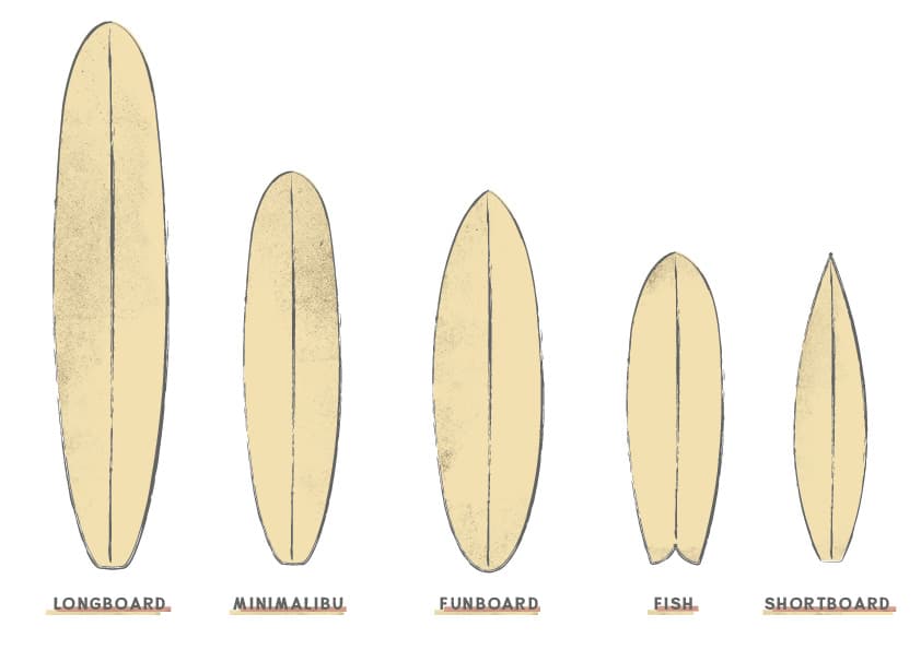 Surfboard Shapes