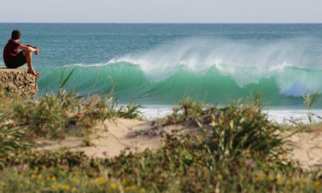 La Luz Surfcamp
