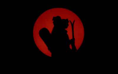 Gewinnspiel Freeride Film Festival