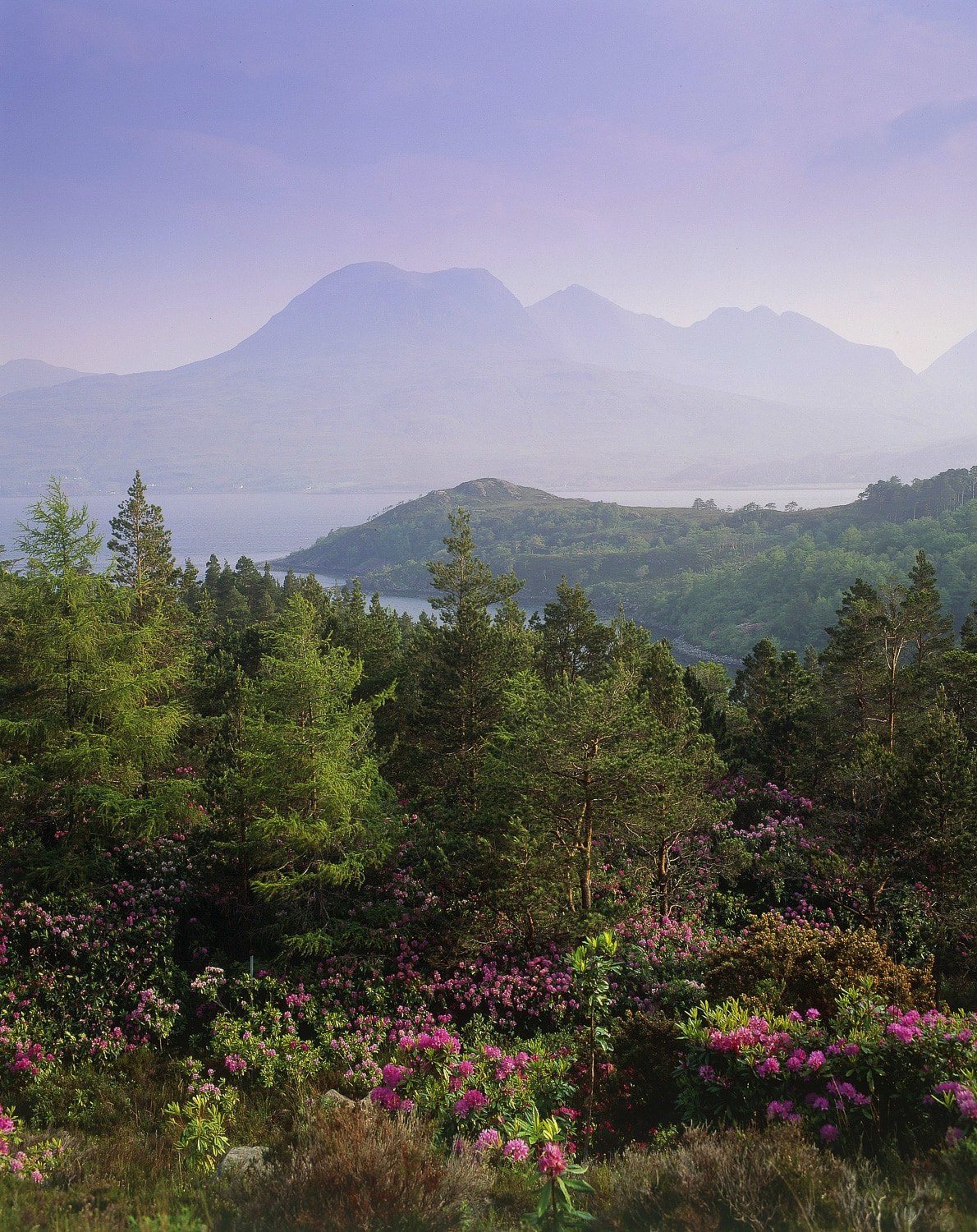 Torridon, Schottland