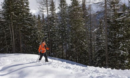 Golden Ride x Bluebird Splitboard Camp 2025