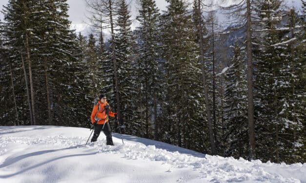 Golden Ride x Bluebird Splitboard Camp 2025