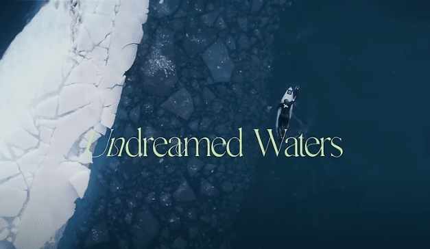 Undreamed waters – Lucía Martiño surft in eisigen Wellen