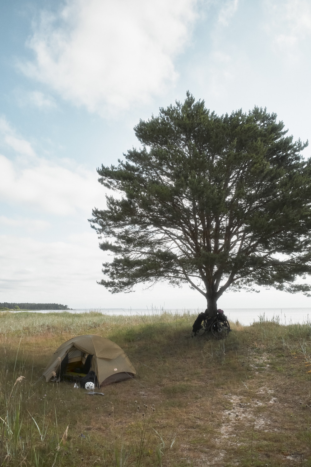Bikepacking auf Gotland
