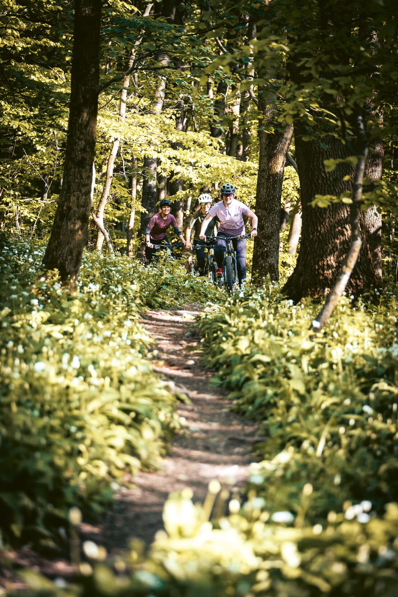 Mountainbiken in Wien