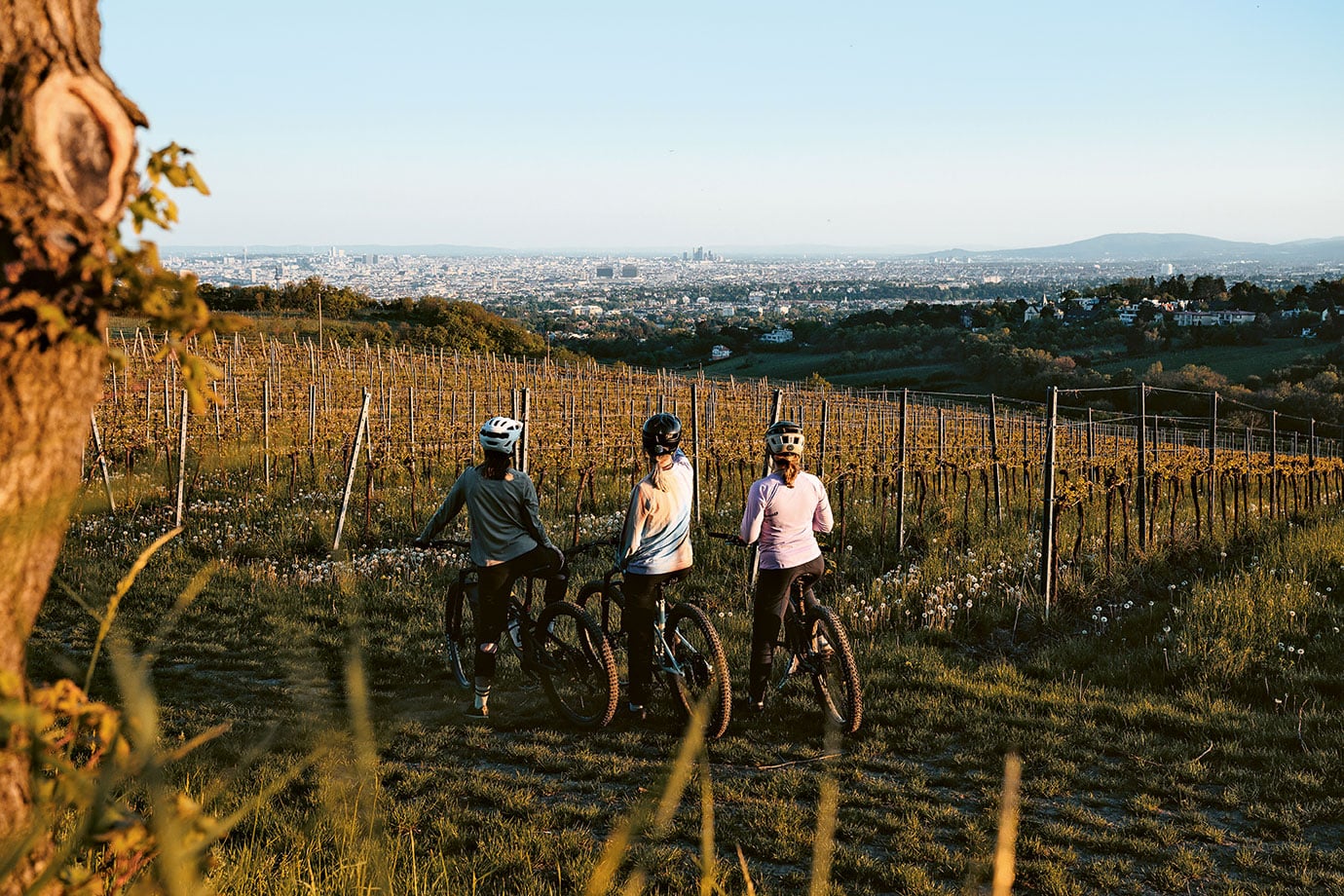 Mountainbikerinnen im Wienerwald