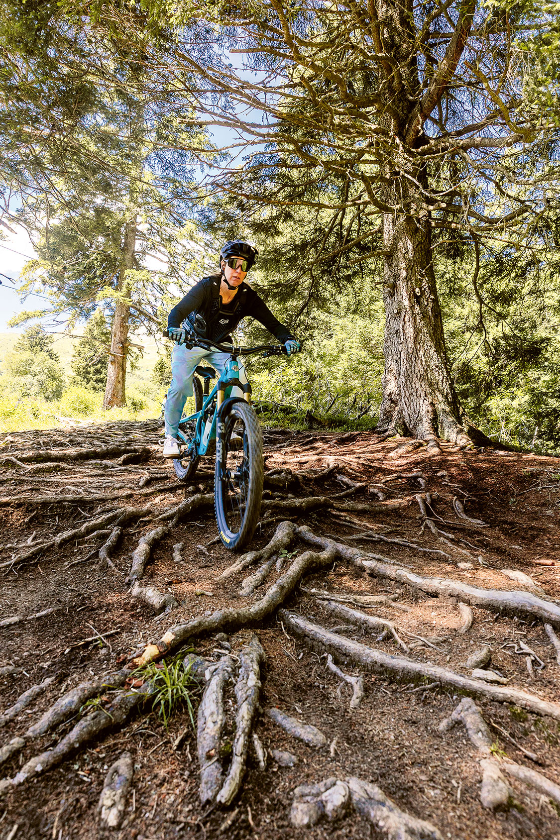 Mountainbikerinnen im Wienerwald